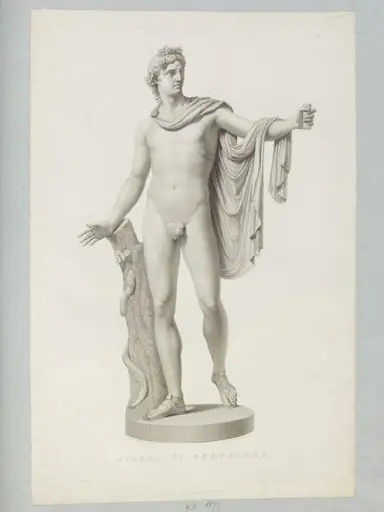 Apollo di Belvedere, by Pietro Fontana