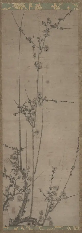 Plum Blossoms