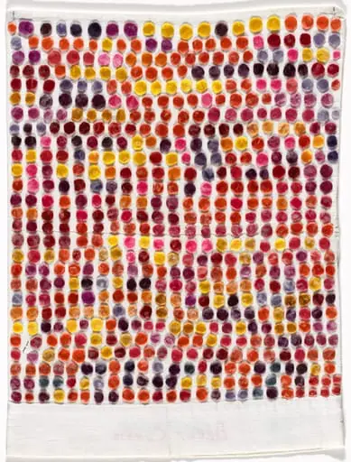 Untitled, by Polly Apfelbaum