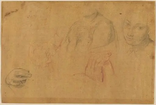 Sketches of Heads and Hands, by Pompeo Batoni