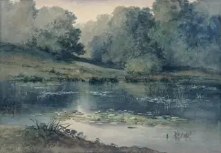 Pond with water lilies