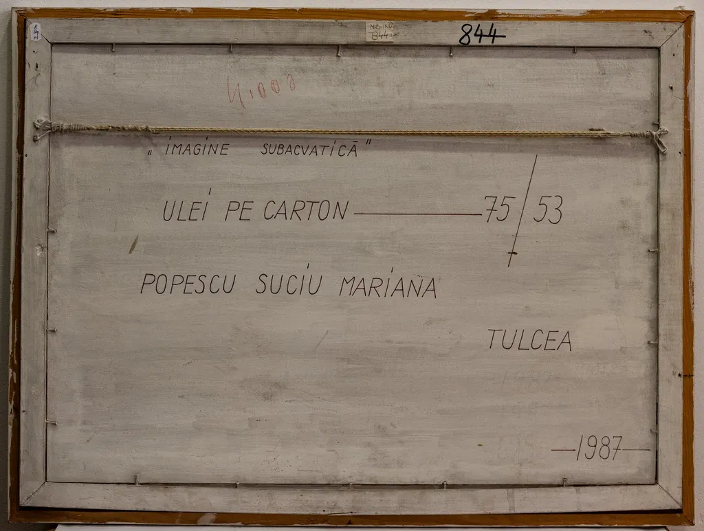 Imagine subacvatică, by Popescu Suciu Mariana, 1987