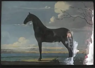 Portræt af en sort hingst, 1795