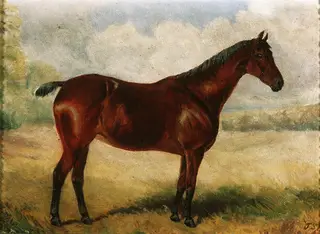 Portrait of a hunter