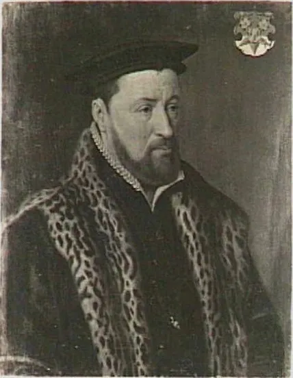 Portrait of Adriaan van Blyenburg (1510-1573), oil, 1566