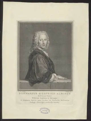 Portrait of Bernardus Siegfried Albinus, doctor of medicine at Leiden