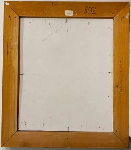 Peisaj cu case