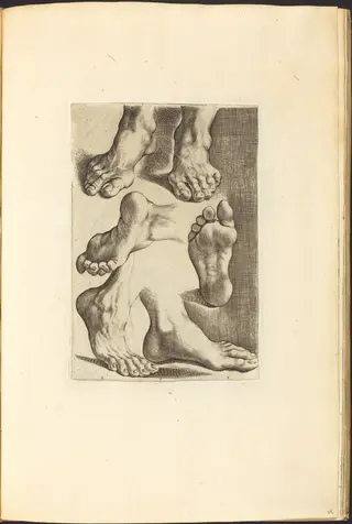 Print from Drawing Book