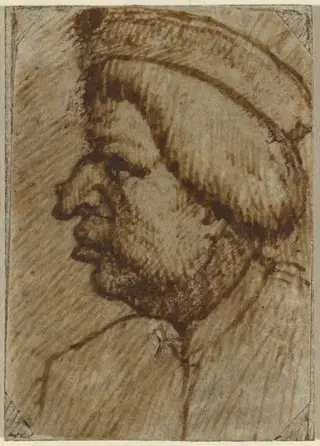 Profile of a Man