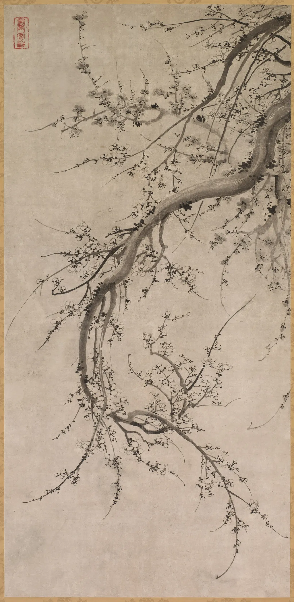 Prunus, unspecified, 1688