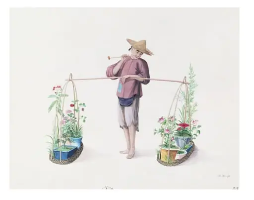 A Florist, by Puqua