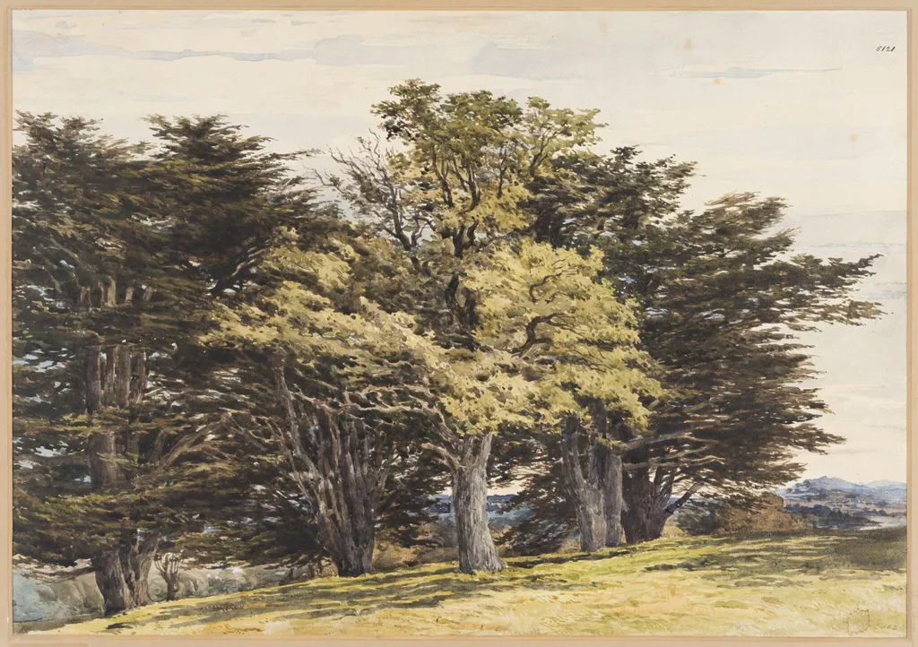 Guildford, by Pyne, watercolor
