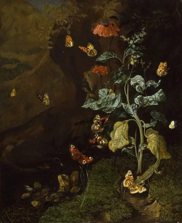 Insects and a lizard in a wood