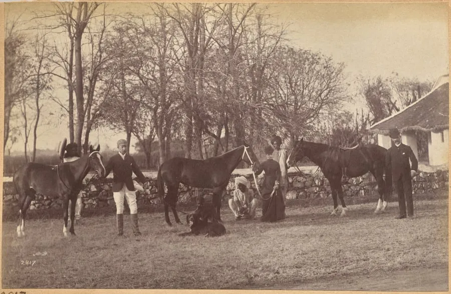 Captain Brown's horses, Jhansi (recto, top), by Raja Deen Dayal, 1884