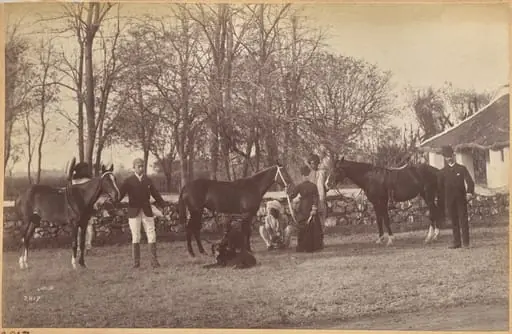 Captain Brown's horses, Jhansi (recto, top), by Raja Deen Dayal