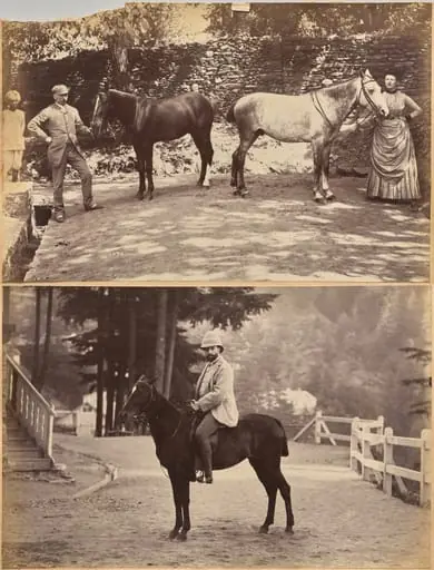 Col. F. G. Oldham (recto, top); Mr. Nowell, Shimla (recto, bottom), by Raja Deen Dayal