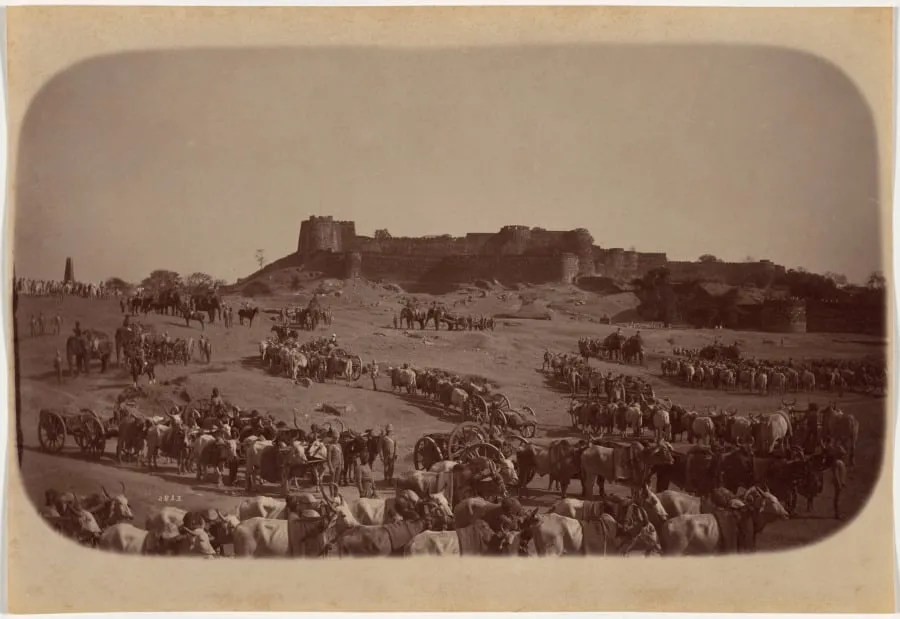 Elephant Battery, Jhansi, by Raja Deen Dayal, 1887
