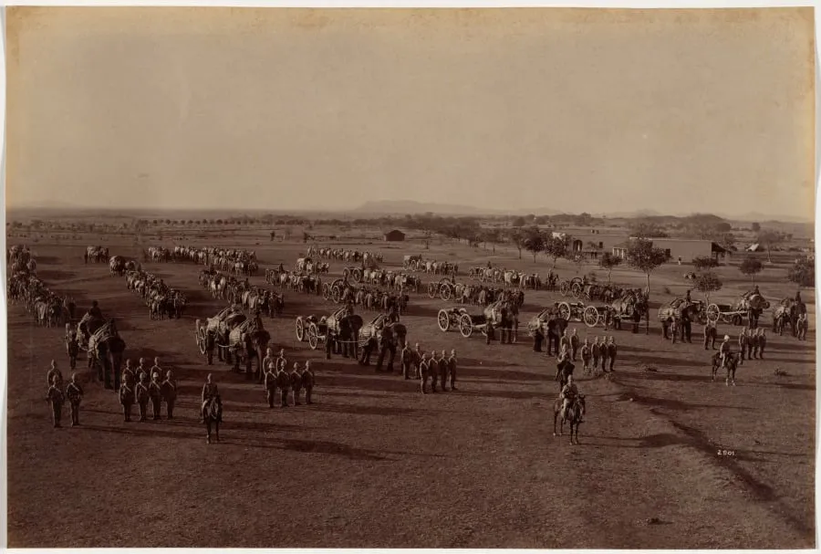 Elephant Battery on Parade, by Raja Deen Dayal, 1886