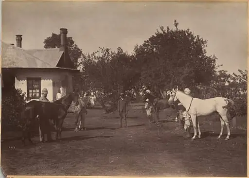 Lord William Beresford's horses, by Raja Deen Dayal