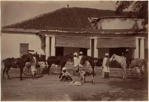 Mr. Brown's Horses, Jhansi, by Raja Deen Dayal