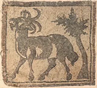 Ram near a Tree