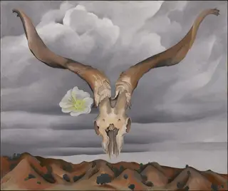 Ram's Head, White Hollyhock-Hills, by Georgia O'Keeffe