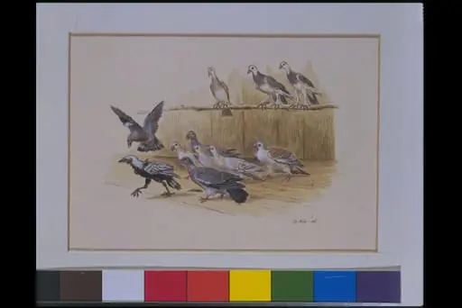Aesop's Fables, by Randolph Caldecott