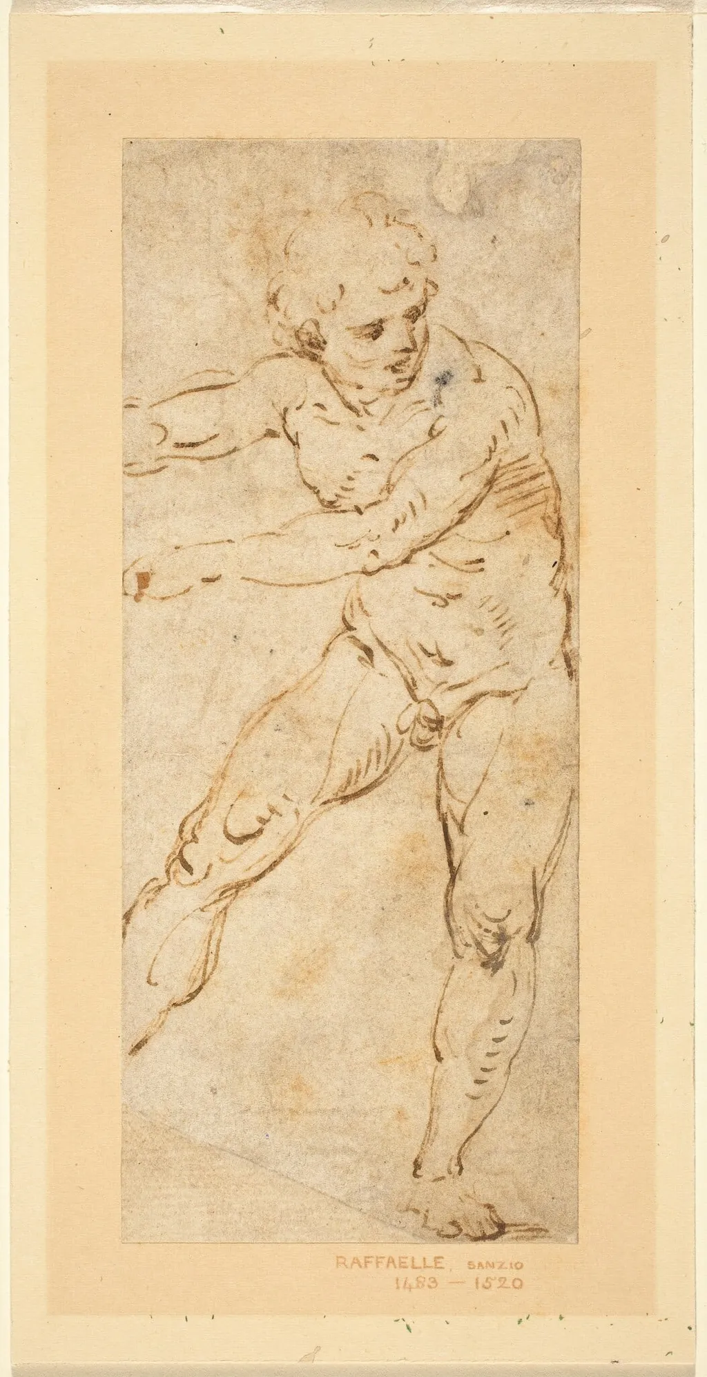 A Standing Male Nude, by Raphael, ink, 1502