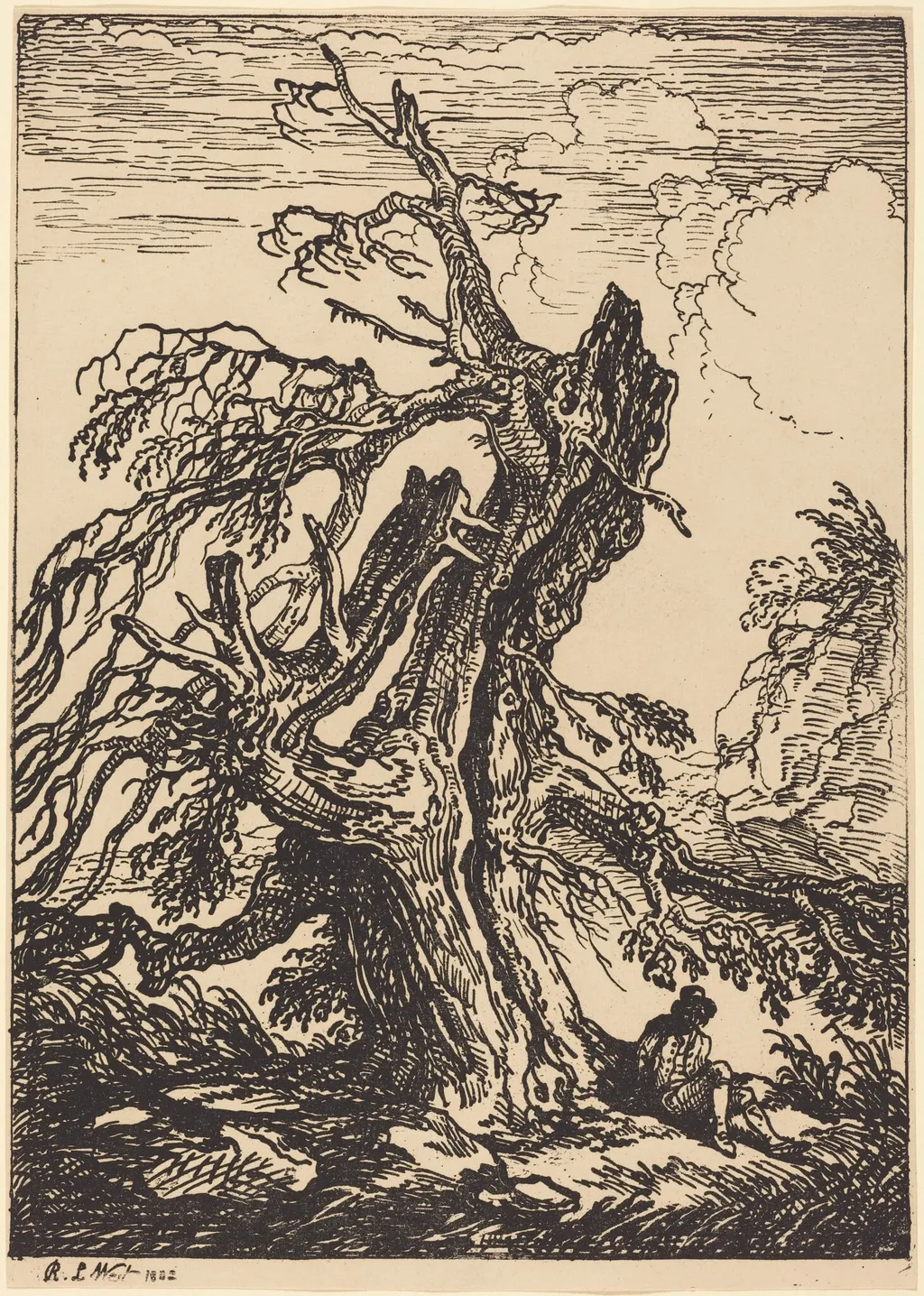 Study of a Tree, by Raphael Lamar West, ink, 1802