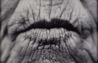 With(out) voice — Raymond Hains