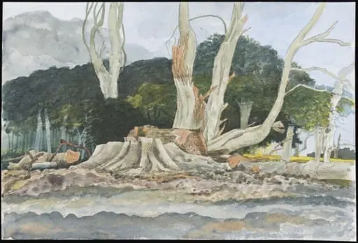 After the Gale 1, by Raymond Spurrier