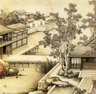 Refreshing Pavilions in the Shade of Wutong Trees