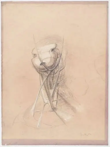Study of a Head