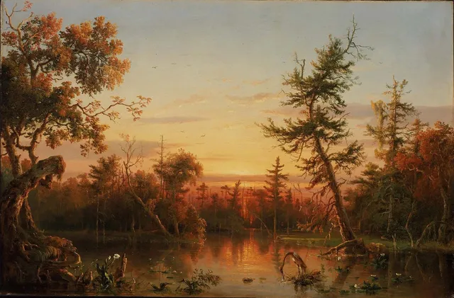 View, Dismal Swamp, North Carolina