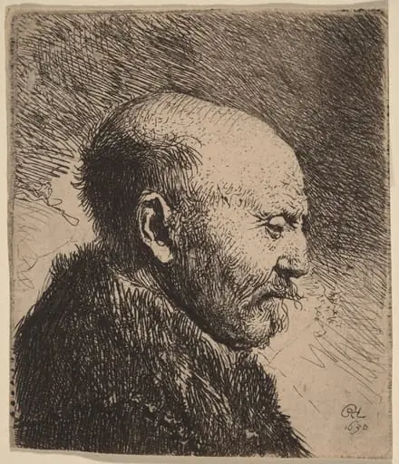 A Bald Man in Profile (The Artist's Father?), by Rembrandt