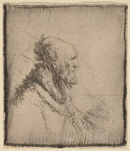 Bald Old Man with a Short Beard in Profile, by Rembrandt