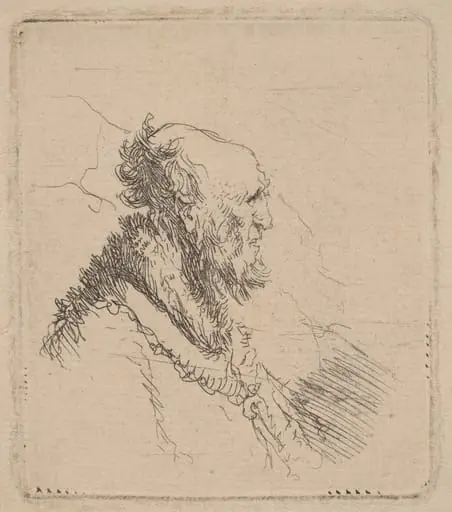 Bald Old Man with a Short Beard in Profile, by Rembrandt