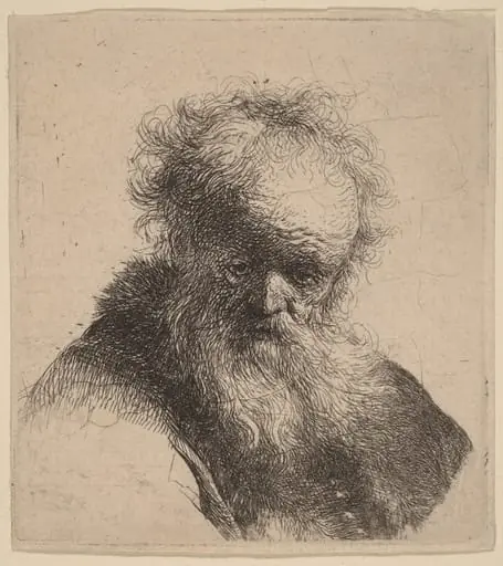 Bust of an Old Man with Flowing Beard and White Sleeve, by Rembrandt