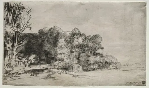 Clump of Trees with a Vista, by Rembrandt