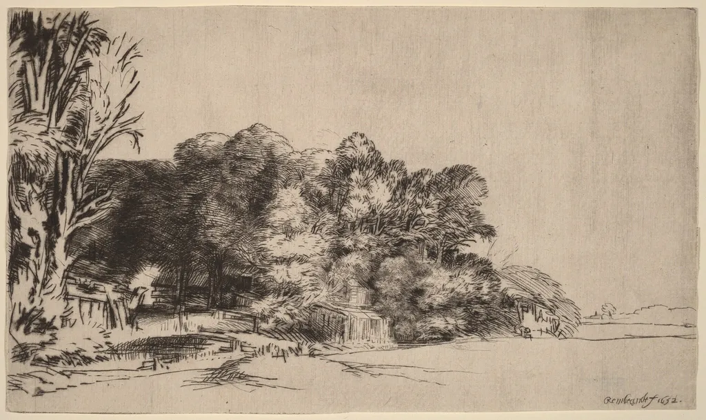 Clump of Trees with a Vista, by Rembrandt, ink, 1652