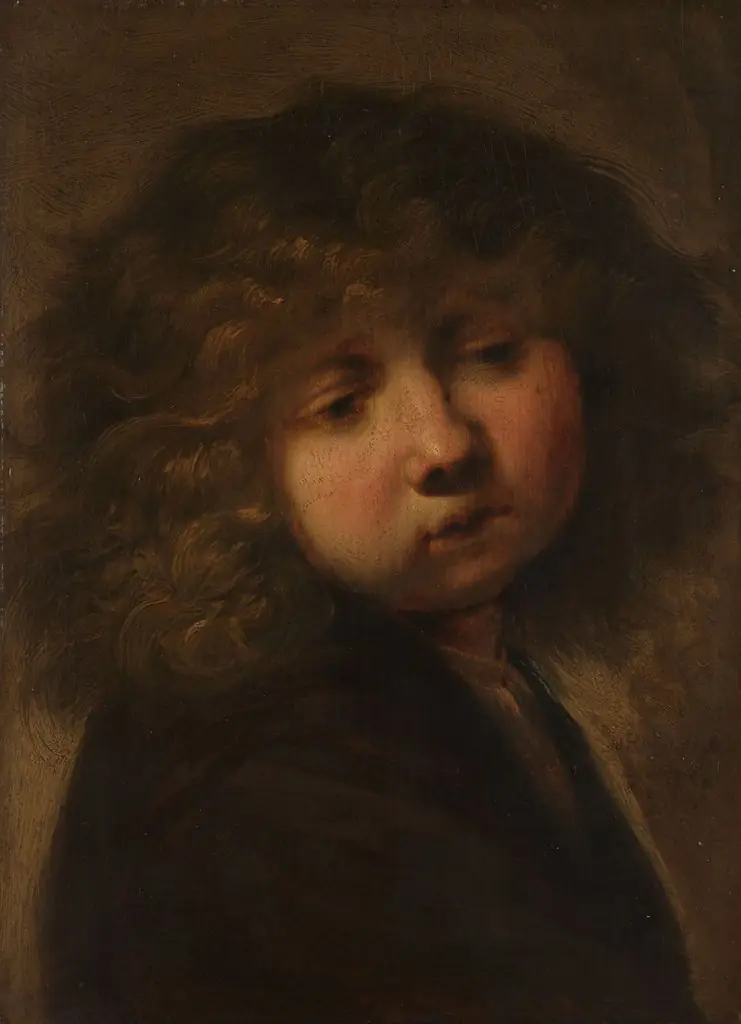 Head of a boy, by Rembrandt