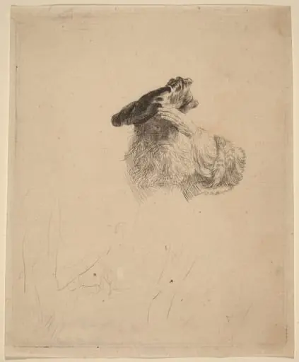 Old Man Shading His Eyes with His Hand, by Rembrandt