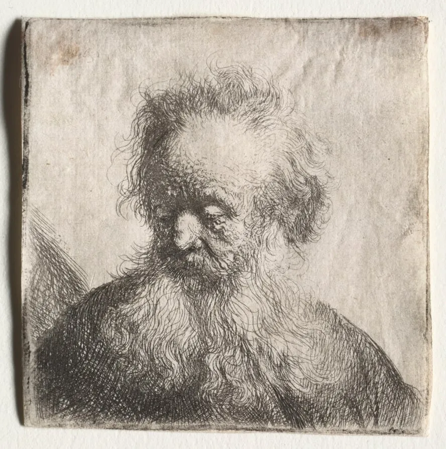 Old Man with a Flowing Beard: Bust, by Rembrandt, 1631