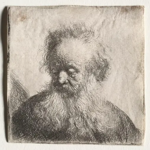 Old Man with a Flowing Beard: Bust, by Rembrandt