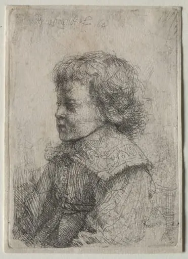 Portrait of a Boy in Profile, by Rembrandt