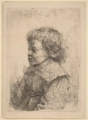 Portrait of a Boy in Profile, by Rembrandt