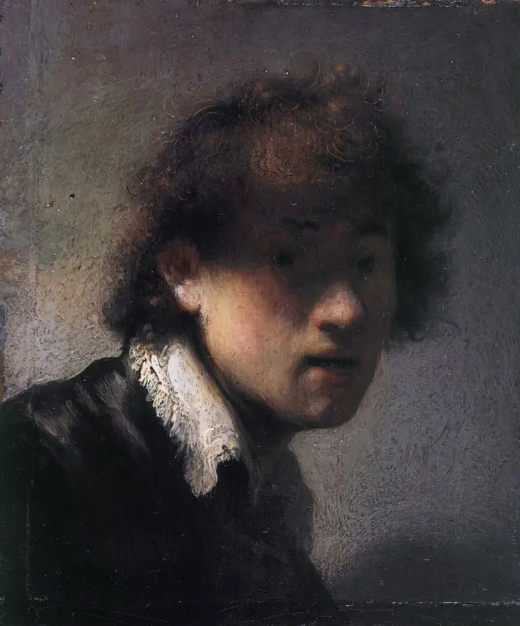 Self-portrait Lit from the Left, by Rembrandt