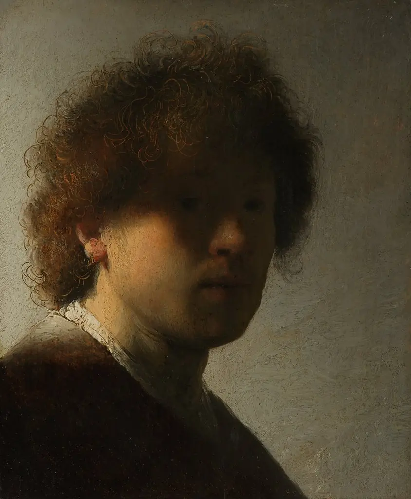 Self-portrait with dishevelled hair, by Rembrandt