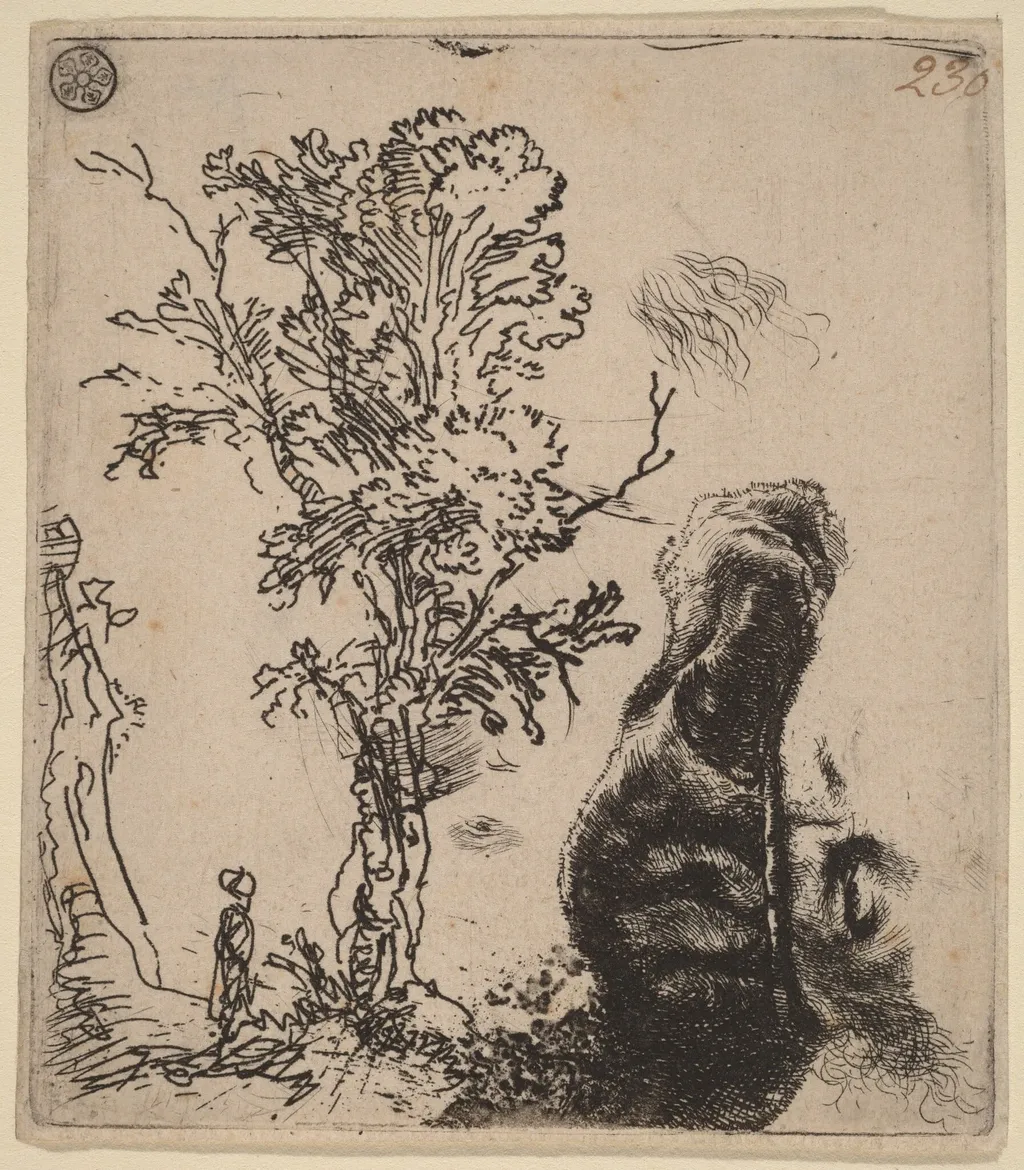 Sheet with Two Studies: a Tree, and the Upper Part of a Head of the Artist Wearing a Velvet Cap, by Rembrandt, ink, 1642