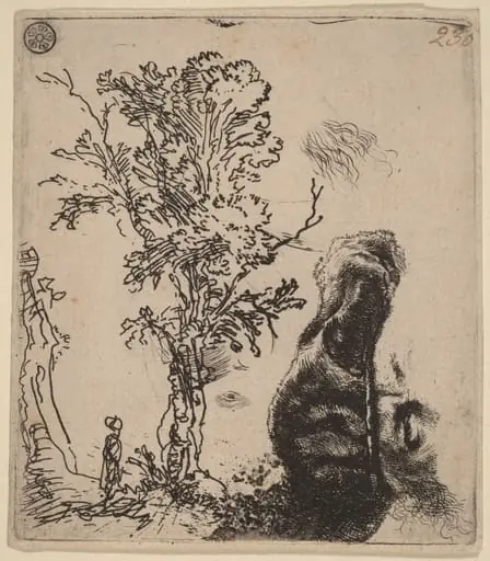 Sheet with Two Studies:  a Tree, and the Upper Part of a Head of the Artist Wearing a Velvet Cap, by Rembrandt